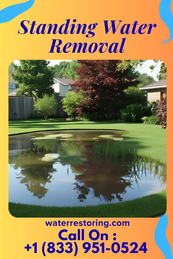 Standing Water Removal in Hay Springs, NE